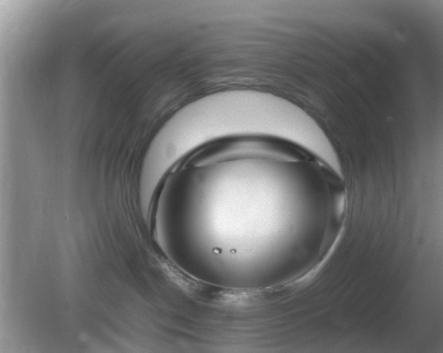 X0000081490190200701191908