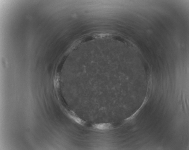 X0000081490191200701191908