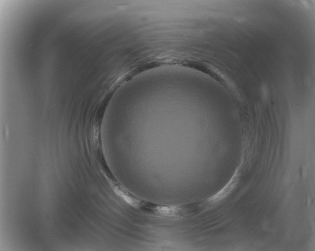 X0000081490192200701191908