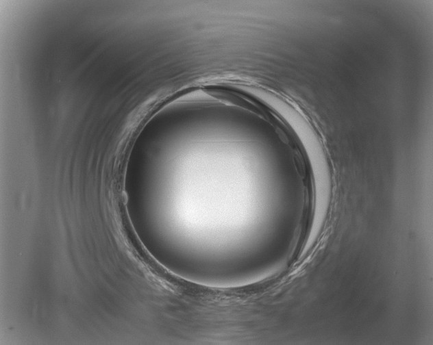 X0000081490193200701191907