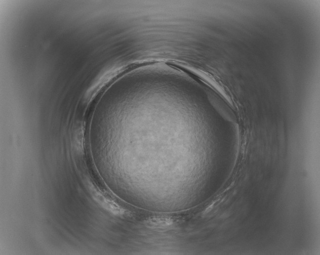 X0000081490194200701191907