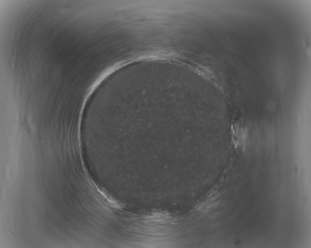 X0000081490196200701191907