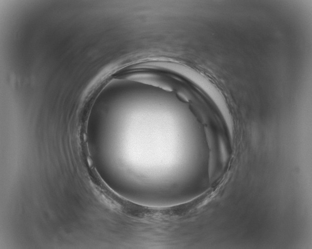 X0000081490197200701191907