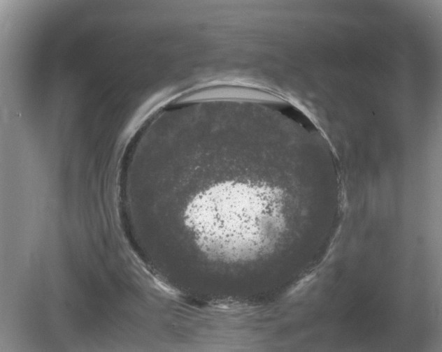 X0000081490199200701191907