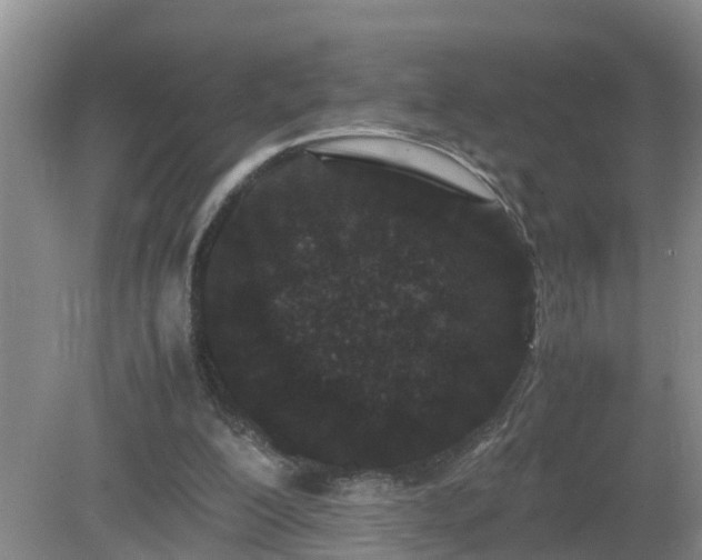 X0000081490200200701191907