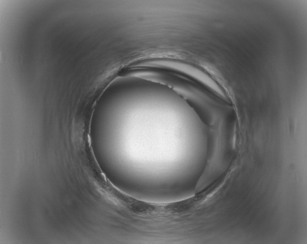 X0000081490201200701191907