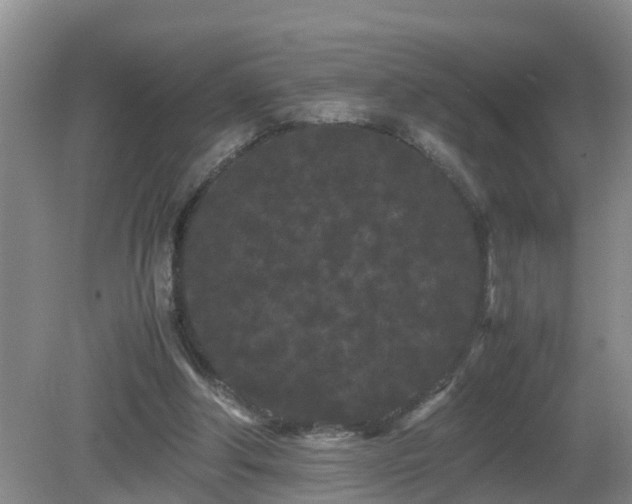 X0000081490202200701191907