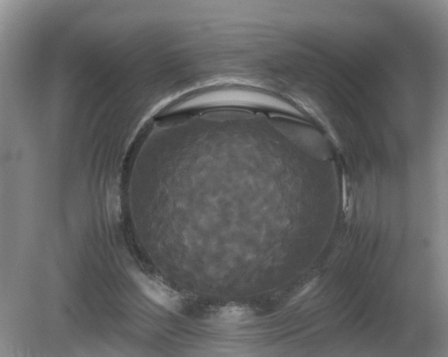 X0000081490204200701191907