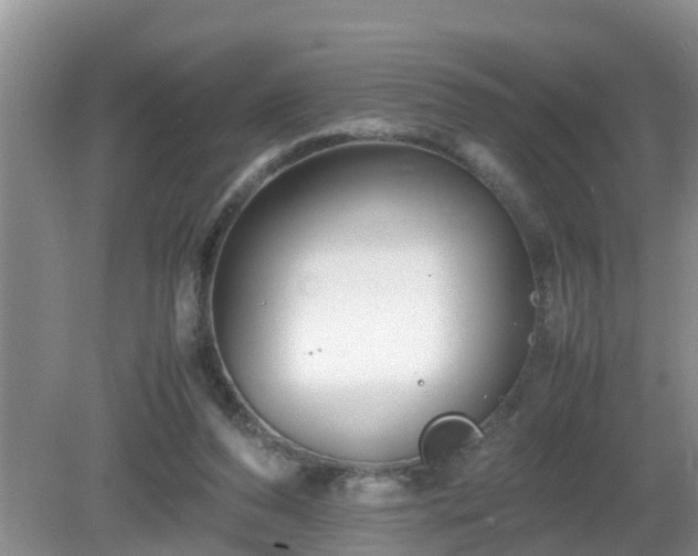 X0000081490208200701191907