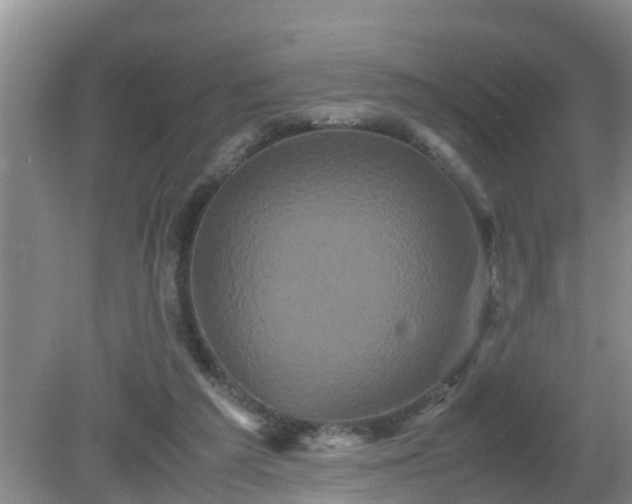 X0000081490209200701191907