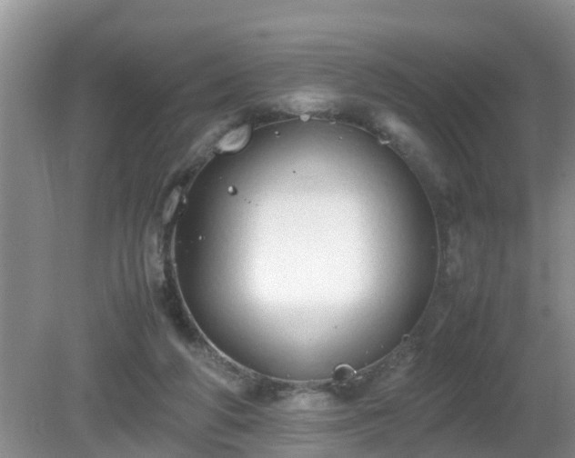 X0000081490210200701191907