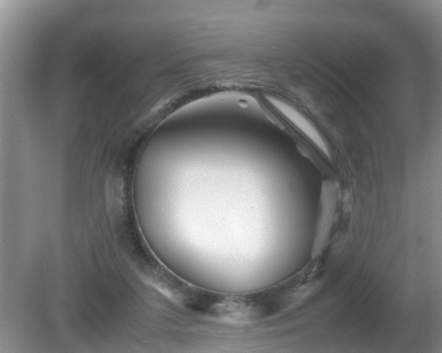 X0000081490211200701191907