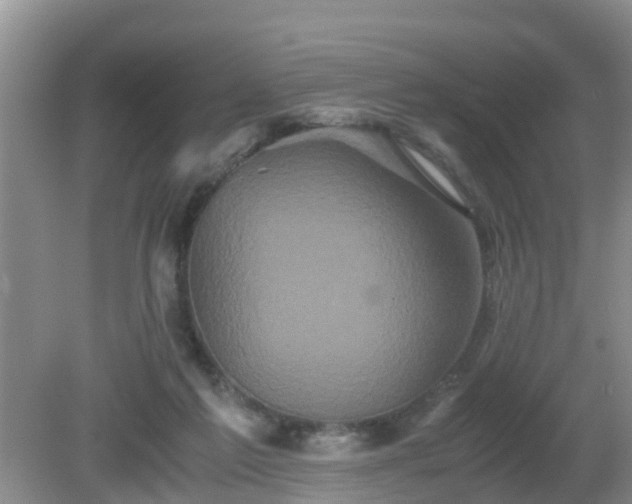 X0000081490213200701191907