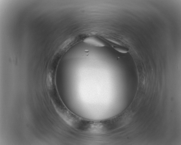 X0000081490214200701191907