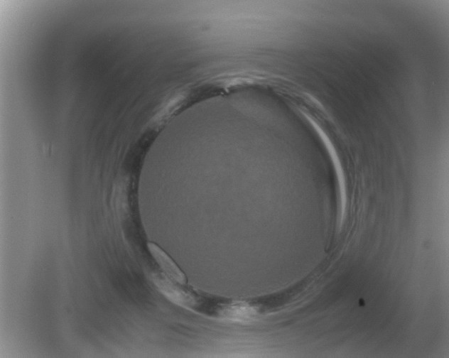 X0000081490217200701191907