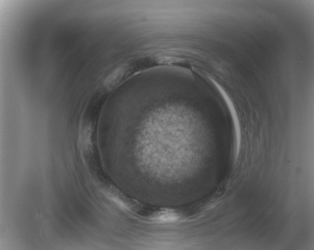 X0000081490219200701191907