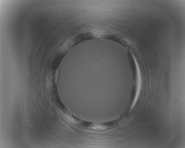 X0000081490221200701191907