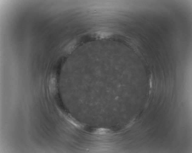 X0000081490222200701191907