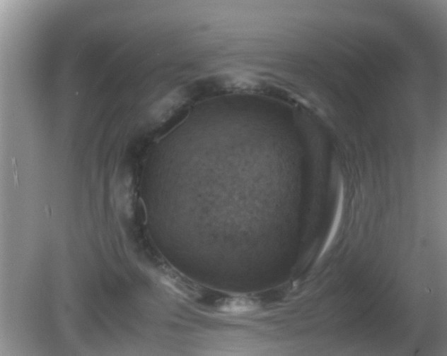 X0000081490223200701191907