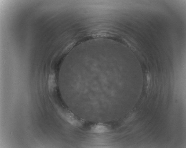 X0000081490224200701191906