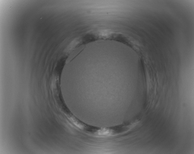 X0000081490225200701191906