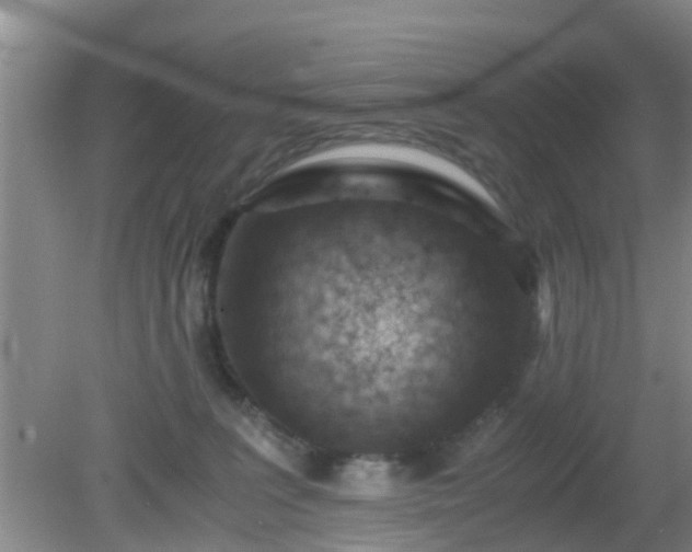 X0000081490227200701191906