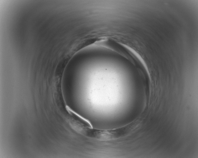 X0000081490229200701191906