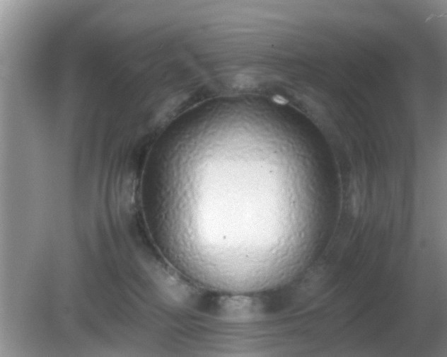 X0000081490230200701191906