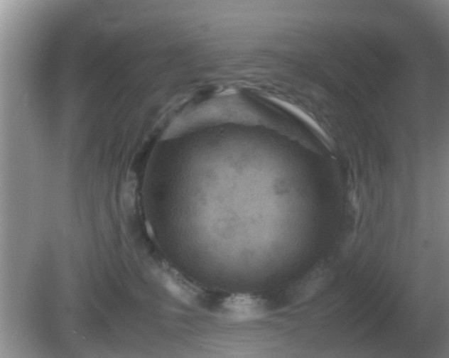 X0000081490231200701191906