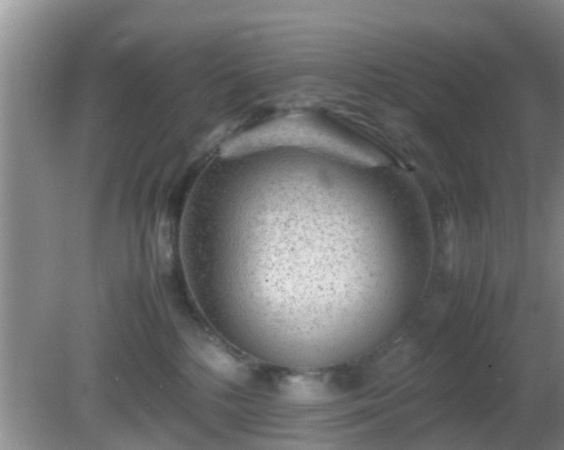 X0000081490232200701191906