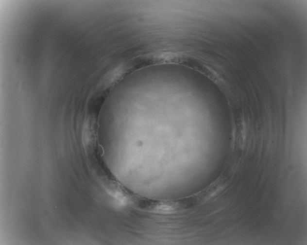 X0000081490236200701191906