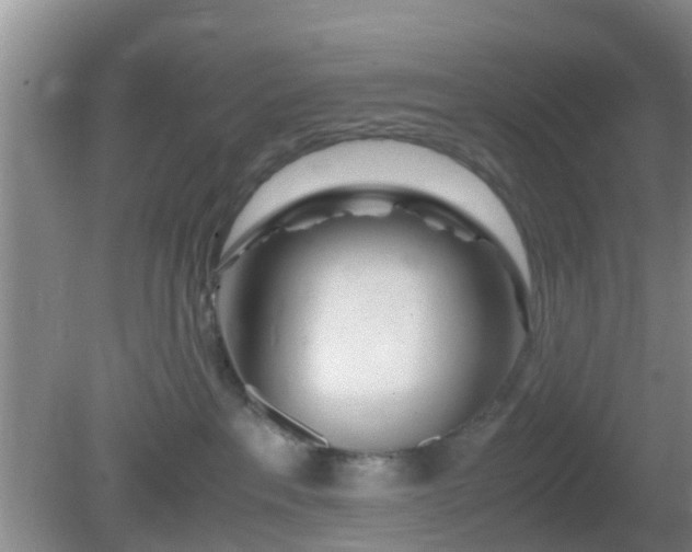 X0000081490237200701191906