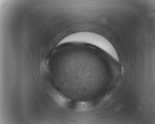 X0000081490239200701191906