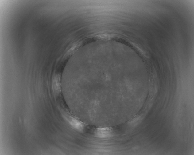 X0000081490240200701191906