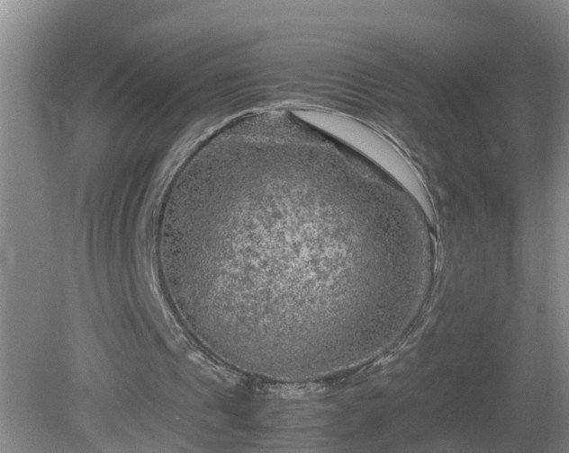 X0000081490241200701191905