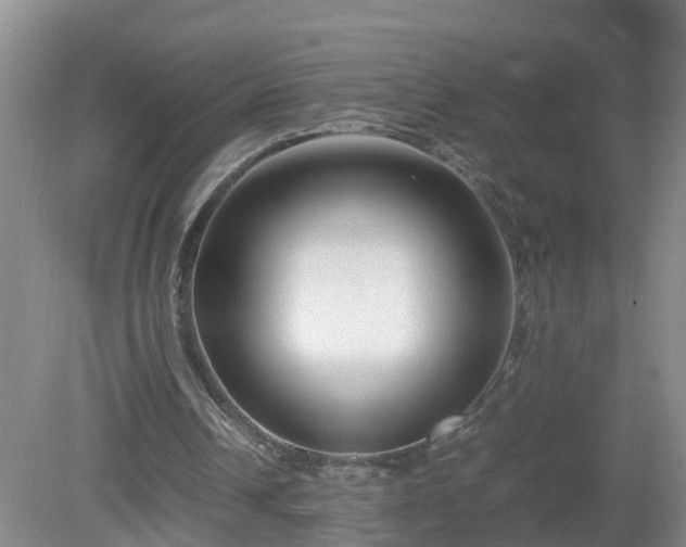 X0000081490242200701191905