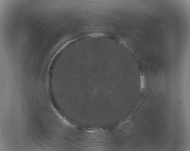 X0000081490243200701191905