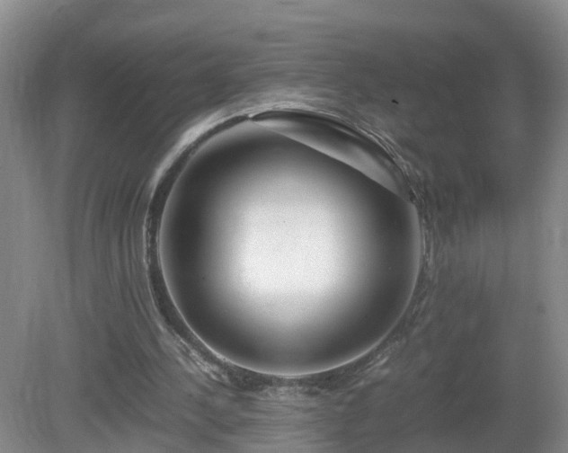 X0000081490244200701191905