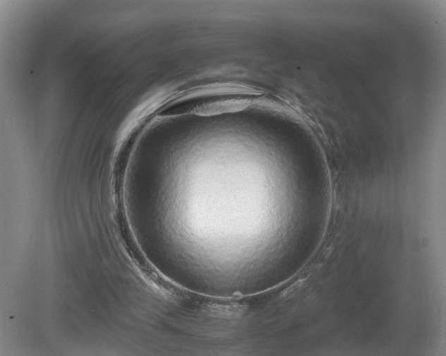 X0000081490245200701191905