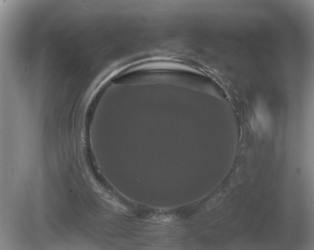 X0000081490247200701191906