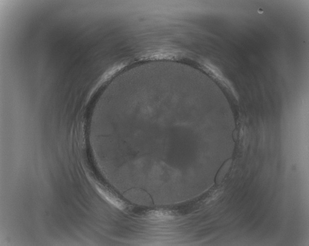 X0000081490250200701191906