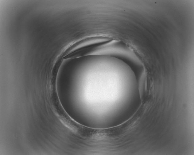 X0000081490252200701191906