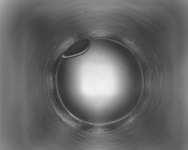 X0000081490254200701191906