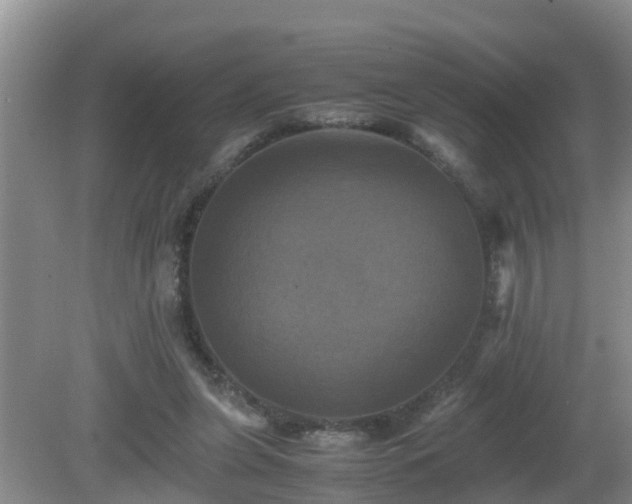 X0000081490255200701191906