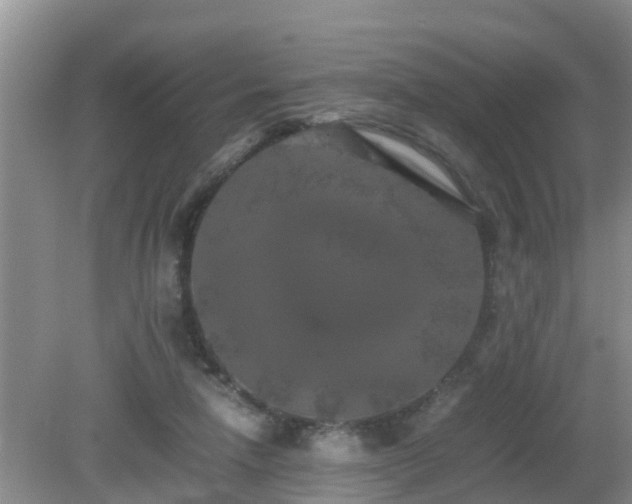 X0000081490258200701191906