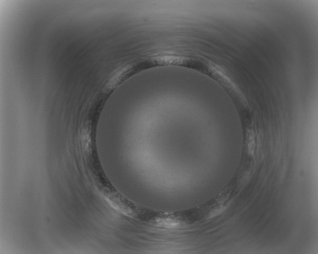 X0000081490259200701191906