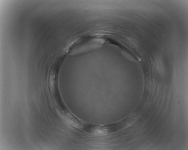 X0000081490263200701191906