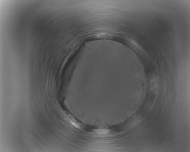 X0000081490266200701191906