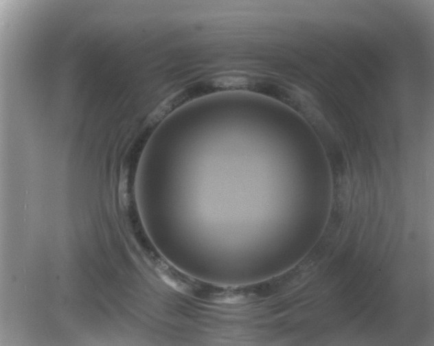 X0000081490267200701191906