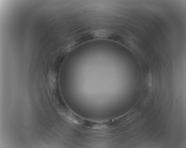 X0000081490271200701191906